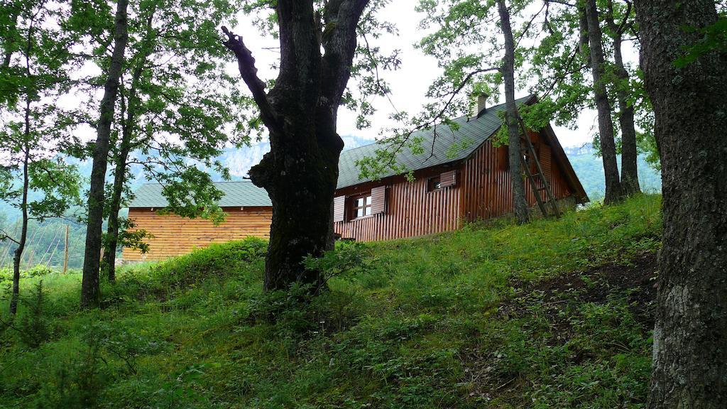Guest House Tara Canyon Pljevlja Exterior foto
