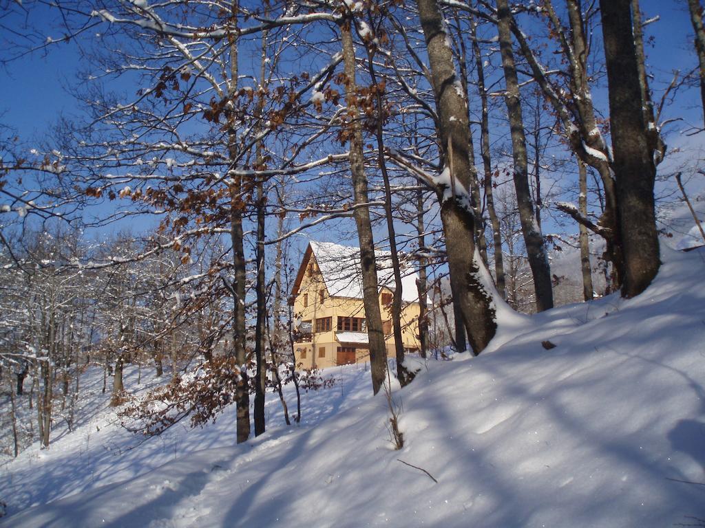 Guest House Tara Canyon Pljevlja Exterior foto
